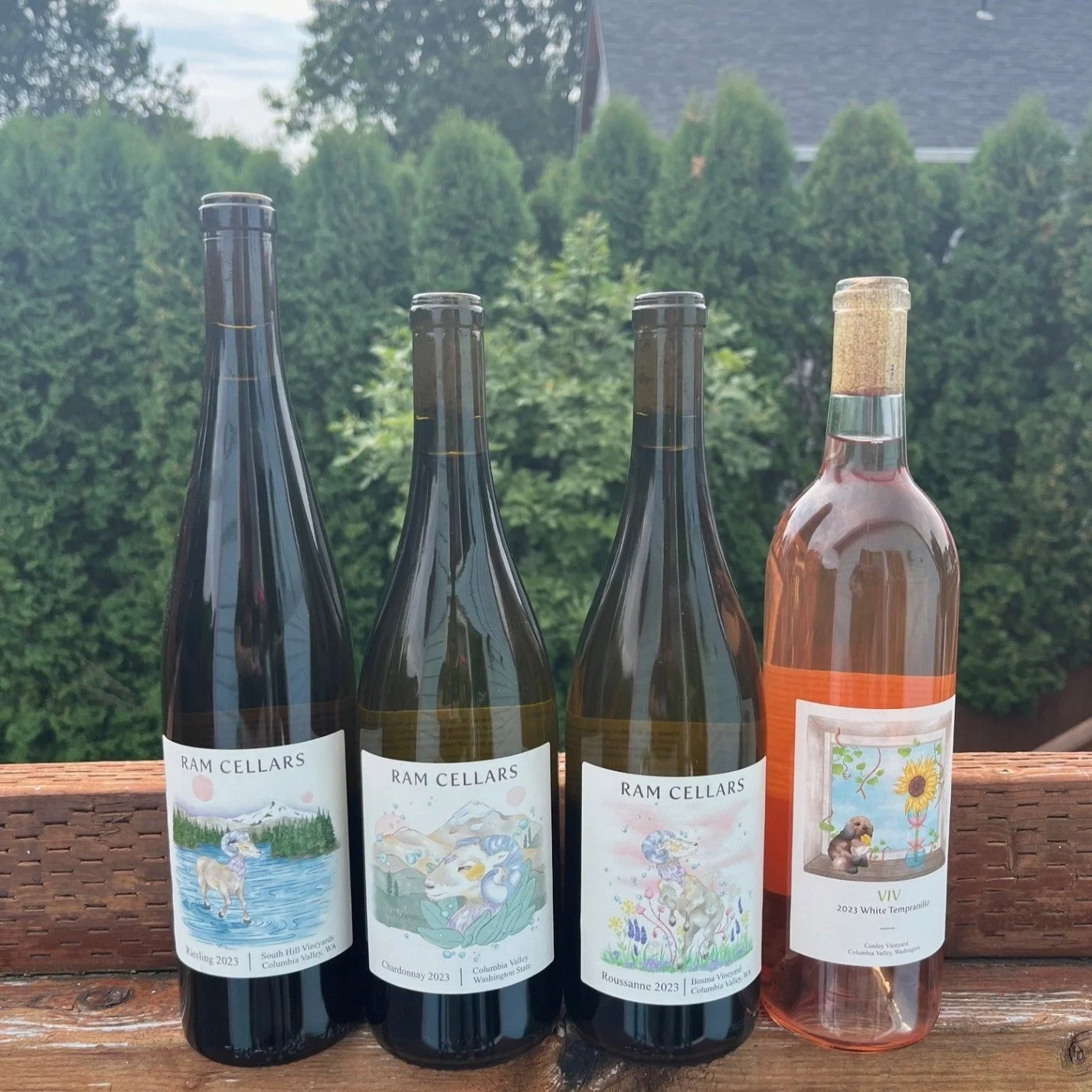 RAM Cellars white wine four pack — RAM Cellars